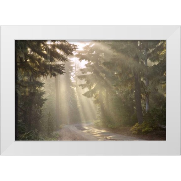 Paulson, Don 14x11 White Modern Wood Framed Museum Art Print Titled - OR, Willamette NF God rays illumine foggy forest