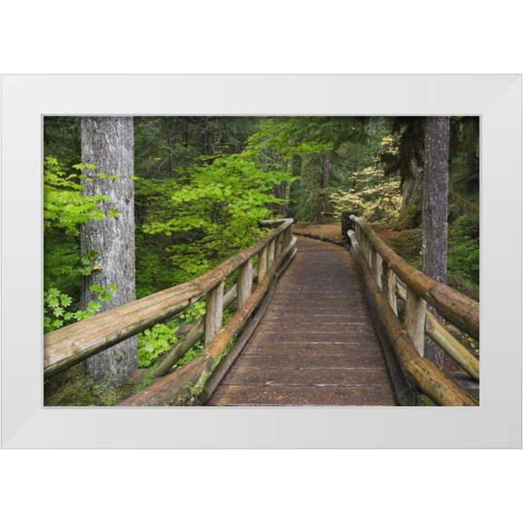 Paulson, Don 14x11 White Modern Wood Framed Museum Art Print Titled - OR, Willamette NF Wooden foot bridge