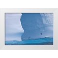 thumbnail image 1 of Paulson, Don 14x11 White Modern Wood Framed Museum Art Print Titled - South Georgia Island Albatross by an iceberg, 1 of 4