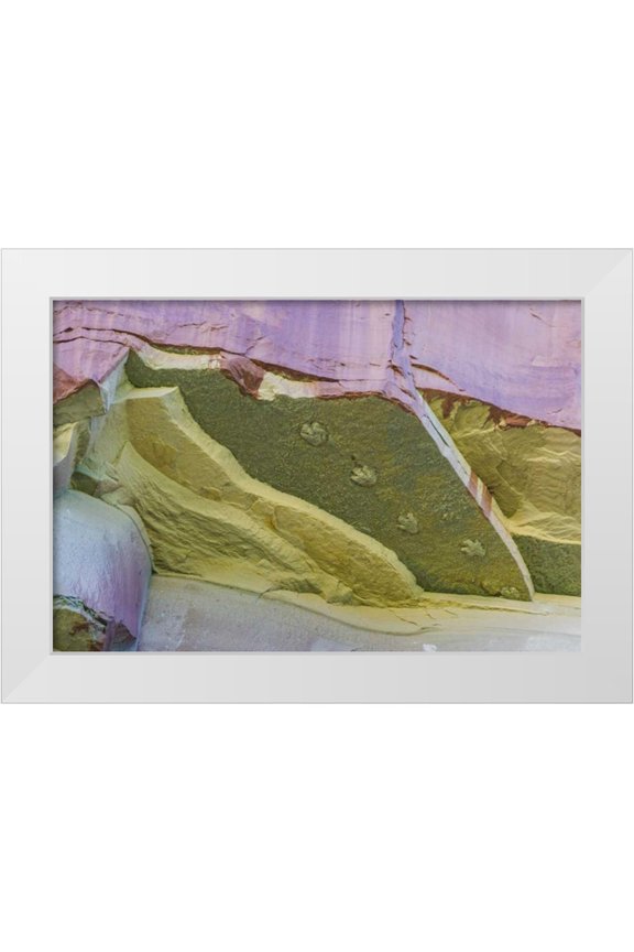 Paulson, Don 14x11 White Modern Wood Framed Museum Art Print Titled - Utah, Glen Canyon Dinosaur tracks on rock face