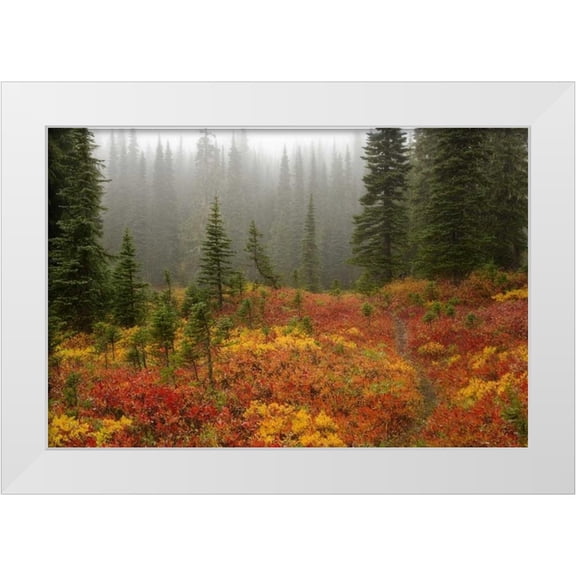 Paulson, Don 14x11 White Modern Wood Framed Museum Art Print Titled - WA, Mount Rainier NP Path through autumn meadow