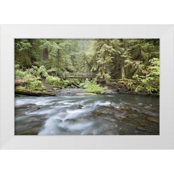 Paulson, Don 14x11 White Modern Wood Framed Museum Art Print Titled - WA, Olympic NP Barnes Creek flows through forest