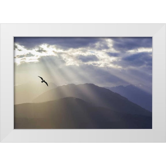 Paulson, Don 14x11 White Modern Wood Framed Museum Art Print Titled - WA, Seabeck Gull and God rays over the Olympics