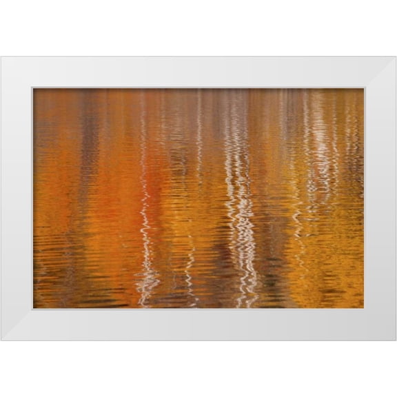 Paulson, Don 14x11 White Modern Wood Framed Museum Art Print Titled - WA, Winthrop Autumn reflections on Beaver Pond