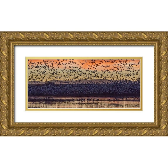 Paulson, Don 14x8 Gold Ornate Wood Framed with Double Matting Museum Art Print Titled - New Mexico Snow geese and Sandhill cranes