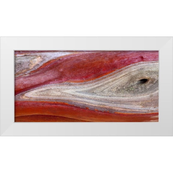 Paulson, Don 14x9 White Modern Wood Framed Museum Art Print Titled - California, Mount Diablo SP Manzanita wood