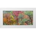 thumbnail image 1 of Paulson, Don 14x9 White Modern Wood Framed Museum Art Print Titled - TX, Guadalupe Mts Panoramic of McKittrick Canyon, 1 of 4
