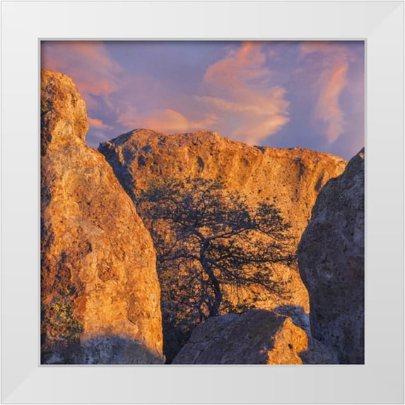 Paulson, Don 15x15 White Modern Wood Framed Museum Art Print Titled - New Mexico, City of Rocks SP Sunset on boulders