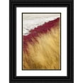 thumbnail image 1 of Paulson, Don 17x24 Black Ornate Wood Framed with Double Matting Museum Art Print Titled - Canada, BC, Kamloops Grass and dried lake bed, 1 of 4