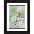 thumbnail image 1 of Paulson, Don 17x24 Black Ornate Wood Framed with Double Matting Museum Art Print Titled - Washington Close-up of peace roses, 1 of 4