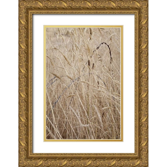 Paulson, Don 17x24 Gold Ornate Wood Framed with Double Matting Museum Art Print Titled - Washington, Silverdale Barbed wire in a field