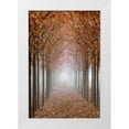 thumbnail image 1 of Paulson, Don 17x24 White Modern Wood Framed Museum Art Print Titled - OR, Willamette Valley Autumn-colored maple trees, 1 of 4
