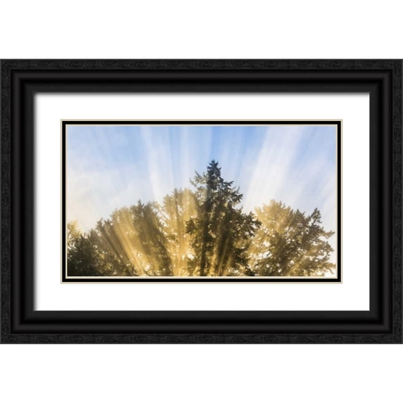 Paulson, Don 18x12 Black Ornate Wood Framed with Double Matting Museum Art Print Titled - Washington, Seabeck Sun rays through fir trees
