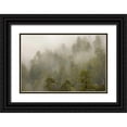thumbnail image 1 of Paulson, Don 18x13 Black Ornate Wood Framed with Double Matting Museum Art Print Titled - CA, Redwood Creek Overlook Fog covers the forest, 1 of 4