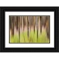 thumbnail image 1 of Paulson, Don 18x13 Black Ornate Wood Framed with Double Matting Museum Art Print Titled - Canada, BC, Motion blur of grass and trees, 1 of 4