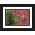 thumbnail image 1 of Paulson, Don 18x13 Black Ornate Wood Framed with Double Matting Museum Art Print Titled - TX, Guadalupe Mts NP Bigtooth maple and sotol, 1 of 4