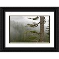 thumbnail image 1 of Paulson, Don 18x13 Black Ornate Wood Framed with Double Matting Museum Art Print Titled - USA, Washington, Mount Rainier NP Tree in fog, 1 of 4