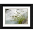 thumbnail image 1 of Paulson, Don 18x13 Black Ornate Wood Framed with Double Matting Museum Art Print Titled - WA, Mount Rainier NP Grass and rushing water, 1 of 4