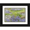 thumbnail image 1 of Paulson, Don 18x13 Black Ornate Wood Framed with Double Matting Museum Art Print Titled - WA, Yellow Island Flowers surround boulders, 1 of 4