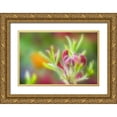 thumbnail image 1 of Paulson, Don 18x13 Gold Ornate Wood Framed with Double Matting Museum Art Print Titled - Abstract close-up of azalea buds, 1 of 4