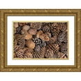thumbnail image 1 of Paulson, Don 18x13 Gold Ornate Wood Framed with Double Matting Museum Art Print Titled - California, Inyo NF Bristlecone tree pine cones, 1 of 4