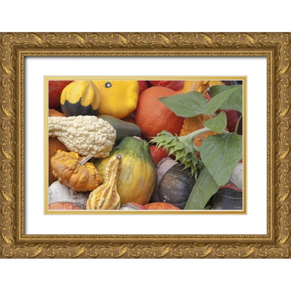 Paulson, Don 18x13 Gold Ornate Wood Framed with Double Matting Museum Art Print Titled - Canada, BC, Keremeos Winter squash