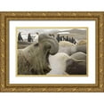 thumbnail image 1 of Paulson, Don 18x13 Gold Ornate Wood Framed with Double Matting Museum Art Print Titled - South Georgia Isl Scarred elephant seal roaring, 1 of 4