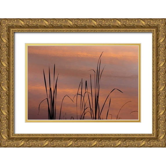 Paulson, Don 18x13 Gold Ornate Wood Framed with Double Matting Museum Art Print Titled - TN, Falls Creek Falls SP Sunrise on cattails