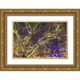 thumbnail image 1 of Paulson, Don 18x13 Gold Ornate Wood Framed with Double Matting Museum Art Print Titled - WA, Leavenworth Christmas lights line the town, 1 of 4