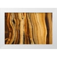thumbnail image 1 of Paulson, Don 18x13 White Modern Wood Framed Museum Art Print Titled - CA, White Mts Wilderness Bristlecone pine wood, 1 of 4