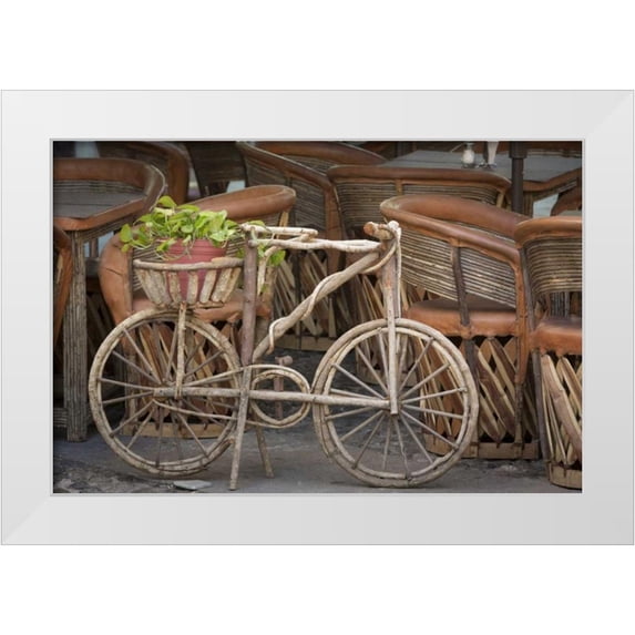 Paulson, Don 18x13 White Modern Wood Framed Museum Art Print Titled - Mexico, Guanajuato Bicycle with potted plant