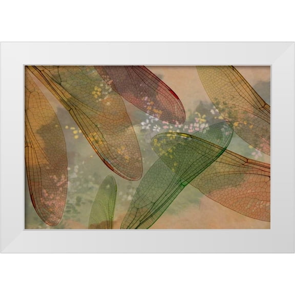 Paulson, Don 18x13 White Modern Wood Framed Museum Art Print Titled - Montage abstract of dragonfly wings and flower