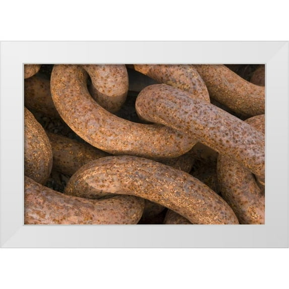 Paulson, Don 18x13 White Modern Wood Framed Museum Art Print Titled - South Georgia Island, Grytviken Rusty chain
