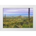 thumbnail image 1 of Paulson, Don 18x13 White Modern Wood Framed Museum Art Print Titled - TX, Guadalupe Mountains NP Mountain Landscape, 1 of 4