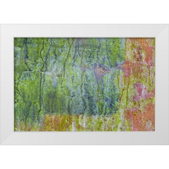 Paulson, Don 18x13 White Modern Wood Framed Museum Art Print Titled - Washington, Fort Hayden Abstract painted wall