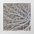 thumbnail image 1 of Paulson, Don 20x20 White Modern Wood Framed Museum Art Print Titled - Utah, Glen Canyon NRA Close-up of tumble weed, 1 of 4