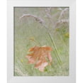thumbnail image 1 of Paulson, Don 20x24 White Modern Wood Framed Museum Art Print Titled - Washington, Seabeck Maple leaf in meadow grasses, 1 of 4