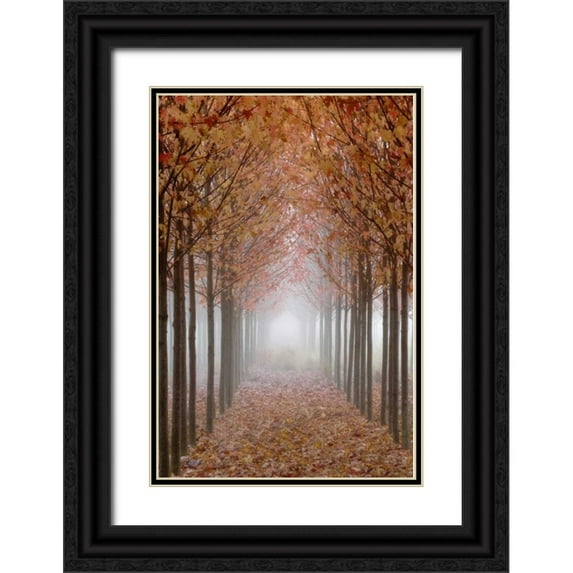 Paulson, Don 23x32 Black Ornate Wood Framed with Double Matting Museum Art Print Titled - OR, Willamette Valley Autumn-colored maple trees
