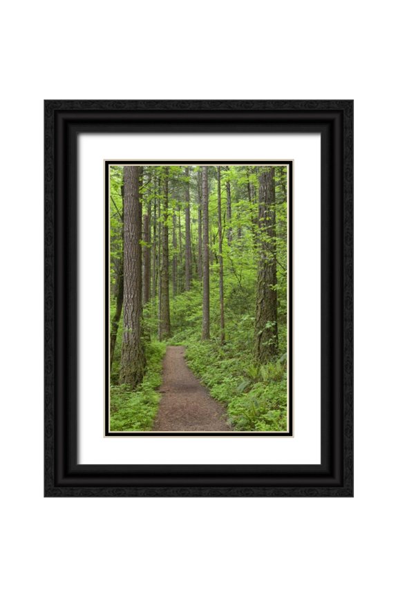 Paulson, Don 23x32 Black Ornate Wood Framed with Double Matting Museum Art Print Titled - Oregon, Columbia River Gorge Elowah Falls Trail