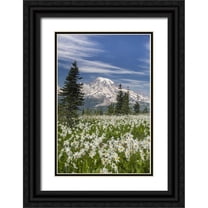 Paulson, Don 23x32 Black Ornate Wood Framed with Double Matting Museum Art Print Titled - Washington Avalanche lilies and Mount Rainier