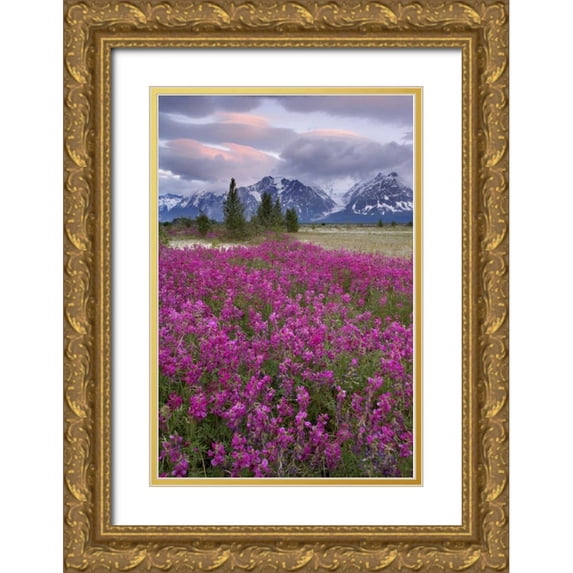 Paulson, Don 23x32 Gold Ornate Wood Framed with Double Matting Museum Art Print Titled - Alaska View of flowers and Fairweather Range