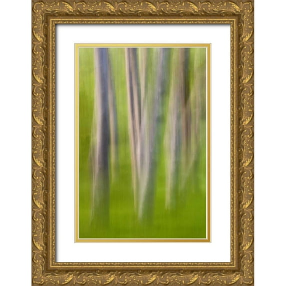 Paulson, Don 23x32 Gold Ornate Wood Framed with Double Matting Museum Art Print Titled - Alder tree abstract