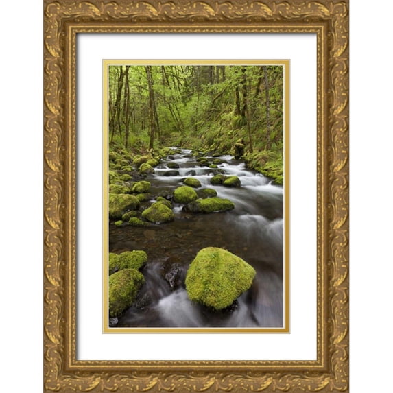 Paulson, Don 23x32 Gold Ornate Wood Framed with Double Matting Museum Art Print Titled - Oregon, Columbia River Gorge Gorton Creek