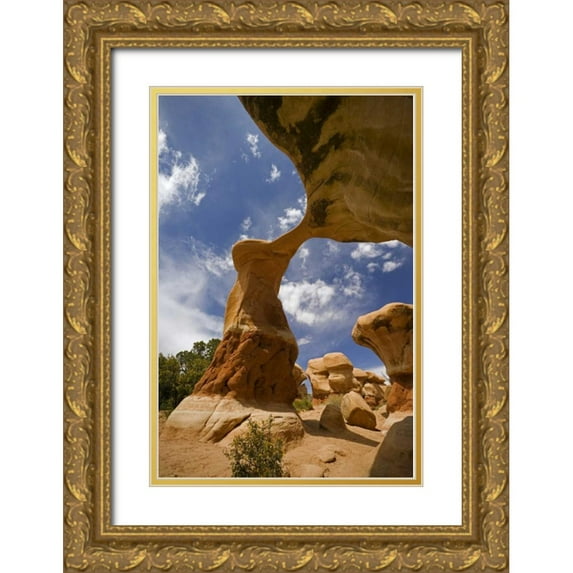 Paulson, Don 23x32 Gold Ornate Wood Framed with Double Matting Museum Art Print Titled - UT, Escalante Grand Staircase NM, Devils Garden