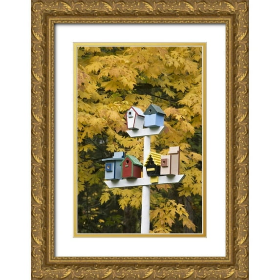 Paulson, Don 23x32 Gold Ornate Wood Framed with Double Matting Museum Art Print Titled - WA, Battle Ground Lake SP Variety of birdhouses