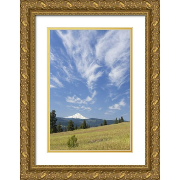 Paulson, Don 23x32 Gold Ornate Wood Framed with Double Matting Museum Art Print Titled - WA, Columbia River Gorge Summer meadow landscape