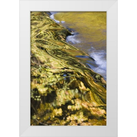 Paulson, Don 23x32 White Modern Wood Framed Museum Art Print Titled - OR, Lake Creek Golden reflections on creek water