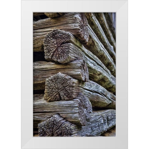Paulson, Don 23x32 White Modern Wood Framed Museum Art Print Titled - VA, Roanoke, Explore Park Detail of log cabin