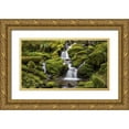 thumbnail image 1 of Paulson, Don 24x15 Gold Ornate Wood Framed with Double Matting Museum Art Print Titled - Washington, Olympic NP Small stream in forest, 1 of 4