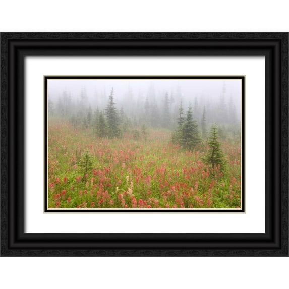 Paulson, Don 24x17 Black Ornate Wood Framed with Double Matting Museum Art Print Titled - Canada, BC, Revelstoke NP Misty meadow scenic